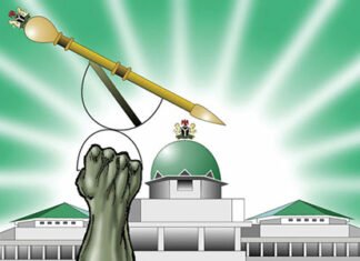 “We Have Not Sent All Constitution Amendment Bills To States” — National Assembly Names Sole Bill Transmitted