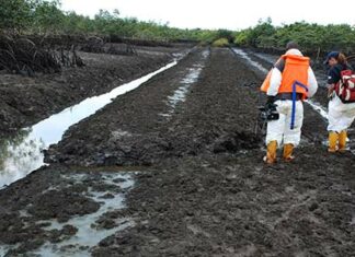 Court Grants RUDILAC Leave To Sue HYPREP Contractor Over Refusal To Disclose Ogoniland Cleanup Funds Records