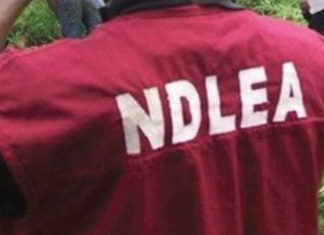 “NDLEA Asks Court To Deny Bail To Three Mexicans, Seven Nigerians In ₦480bn Meth Lab Case” — Alleges Flight Risk