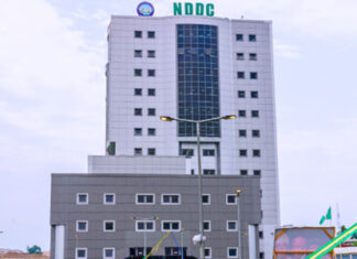 “Mere Denial Cannot Discredit Documentary Evidence Of Appointment” — Court Upholds Employment Of Six NDDC Workers