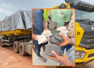 “Unlawful Possession Of Minerals” — Court Jails Truck Driver Two Years Over 25 Tons Of Lithium-Bearing Mineral