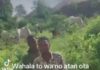 “I Used Fake Bandit Video To Gain Followers” — Ogun Fashion Designer Arrested After Viral TikTok Sparks Panic