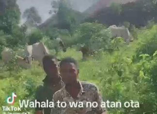 “I Used Fake Bandit Video To Gain Followers” — Ogun Fashion Designer Arrested After Viral TikTok Sparks Panic