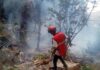 “Seven Killed In Kenya Tourist Helicopter Crash” — Ecuador Intelligence Chief, Five Americans Among Victims